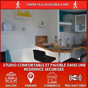 Le Petit Studieux - Parking - Animaux Acceptes - Centre Accessible A Pied Apartamento Albi